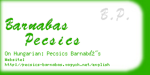 barnabas pecsics business card